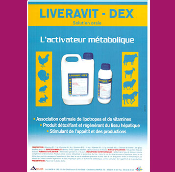 LIVERAVIT Dex - L'activateur métabolique